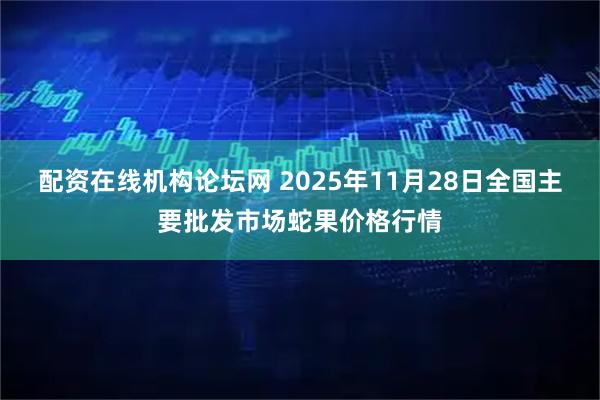 配资在线机构论坛网 2025年11月28日全国主要批发市场蛇果价格行情