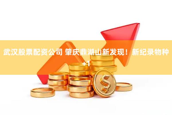 武汉股票配资公司 肇庆鼎湖山新发现！新纪录物种+1
